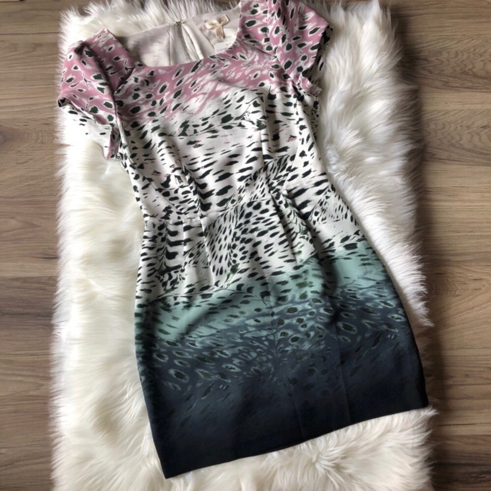 NWT Ombré Animal Print Dress Silence + Noise Sz 6 - Picture 1 of 4